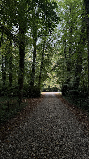 Vergaderen op de Veluwe