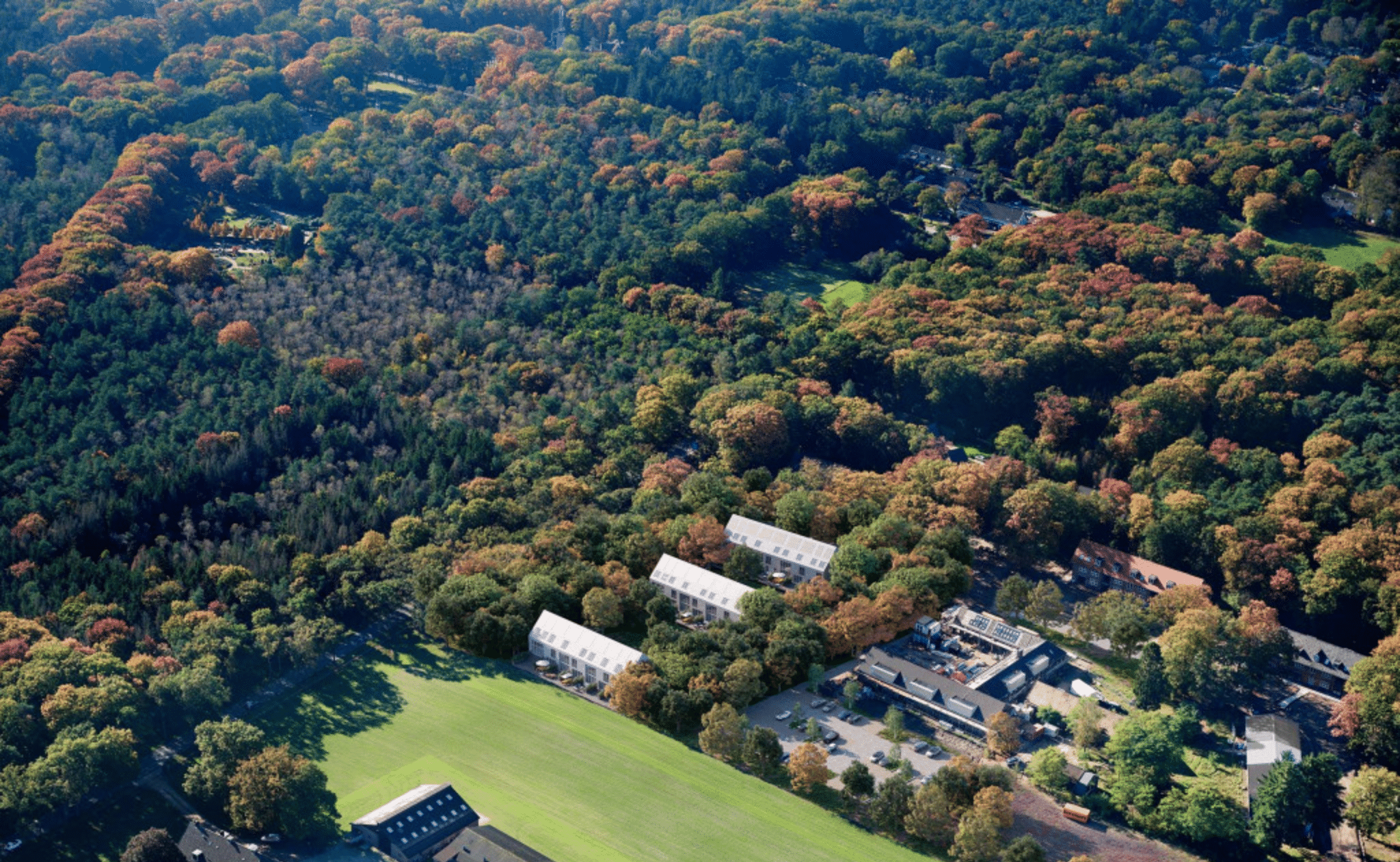 Vergaderen op de Veluwe een vergaderlocatie in het bos.