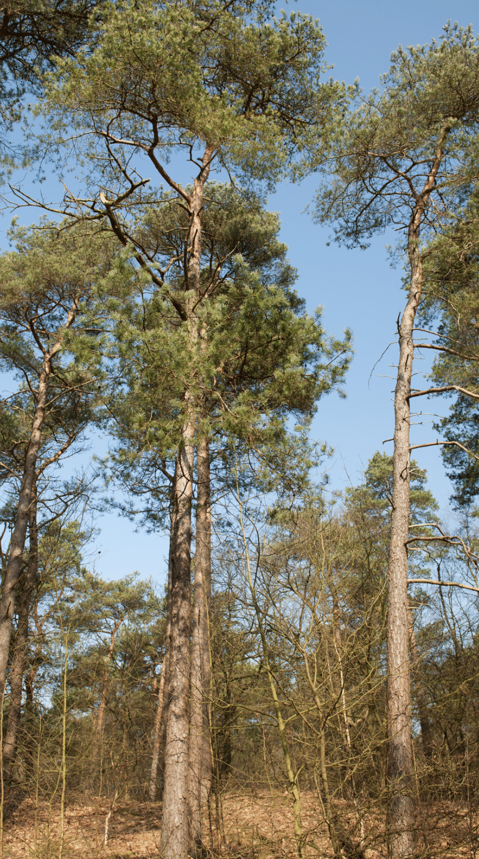 Vergaderlocatie arnhem