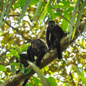 Vergaderlocatie Apeldoorn